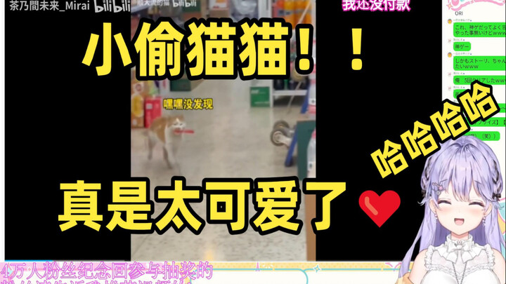 猫：我就偷吃了 你报警吧
