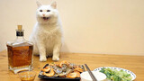 เจ้าแมวแผนสูง อาหารทะเลบนโต๊ะเสร็จฉัน