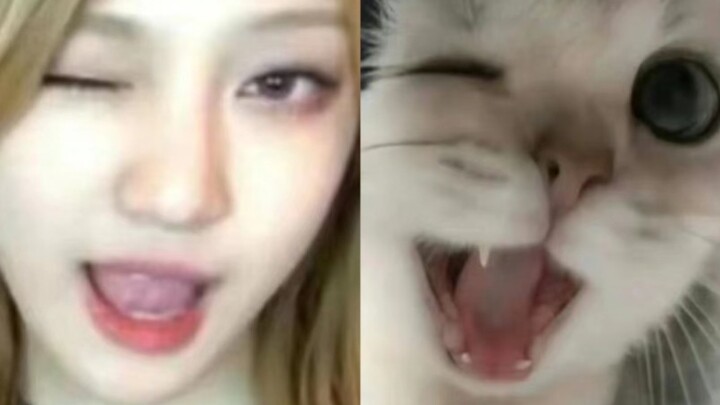 คุณครู น้องหนิงหนิงของบ้านเราปั้นแมวได้เหมือนแมวจริงๆ เลยค่ะ