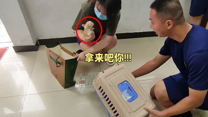 Setelah menyelamatkan kucing, petugas pemadam kebakaran kembali menemui seorang gadis yang tangannya