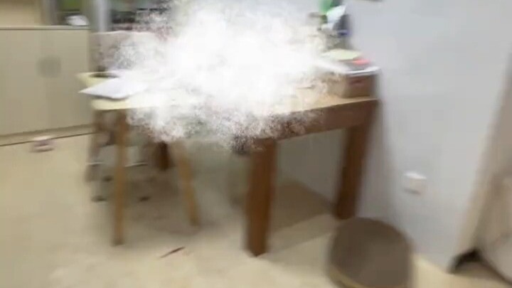 قطة تابي المذهلة وجدت طريقها إلى منزلي ودخلت بمهارة!