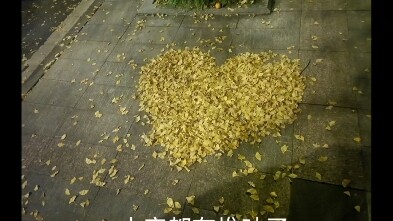 Đã xếp một chiếc hanser ở trường