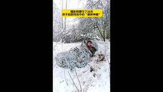 当你遇见传说中的“森林神鹿”许个愿吧