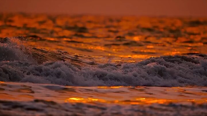 Sea