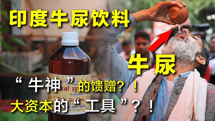 [Mystery Exploration] Cow urine as a beverage, cow dung cakes sold at 30 yuan per box? In India, cow