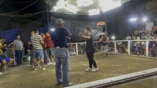 Fight for Champion (Sweater Lemon) Champ! February 4,2024