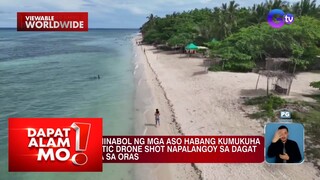 Lalaking kumuha ng drone shot, hinabol ng mga aso! | Dapat Alam Mo!