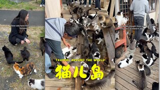 我可以说这里是天堂吗⁉️