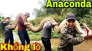 Cuộc Chiến Kinh Hoàng Thu Phục Trăn Khổng Lồ Anadacoda Nặng 200Kg | Đại Vùng Cao
