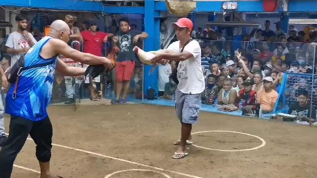 (Pula amin) tibay ng puti