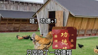《小鸡捡了功德箱》误打误撞报国家