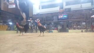 super hatch (lightside)