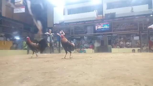 super hatch (lightside)