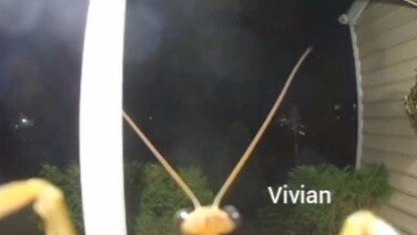 nice music i found in my photos