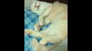 มีแอบเหล่มองด้วย5555