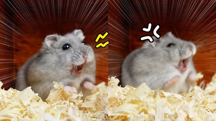 Mouse: When I see injustice, I let out a roar!