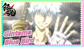 Gintama -Blue Bird