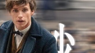 [Film&TV][FB][Newt Scamander] Weirdo