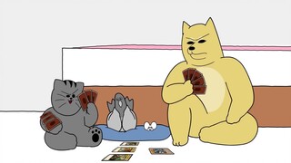 家里来了个小屁孩