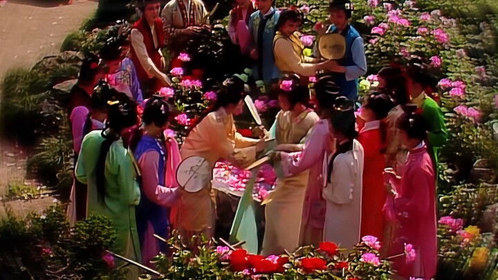 «مجموعة شخصيات رواية حلم الغرفة الحمراء النسخة 87» لا ينضب جمال الأزمنة، فالجميلة هي من تسرّ العين.