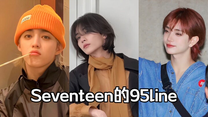 เซเว่นทีน｜พี่ชายปี 95 ที่ใช้ไลน์ก็จะน่ารักแบบนี้กันหมดเลยเหรอ