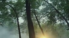 Đều Là Người Một Nhà ( Vương Bồi Diên , Tăng Huy , Khương Thập Thất , Lý Kha Dĩ ) Tập 1