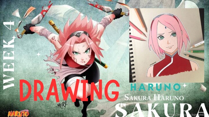 drawing sakura