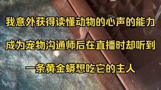 我意外获得读懂动物的心声的能力，成为宠物沟通师后在直播时却听到，一条黄金蟒想吃它的主人