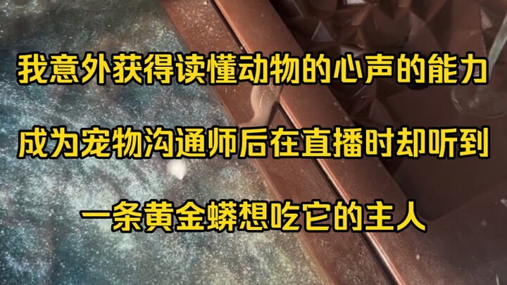 我意外获得读懂动物的心声的能力，成为宠物沟通师后在直播时却听到，一条黄金蟒想吃它的主人