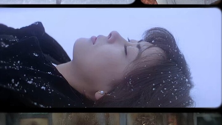"Aesthetics through the lens of the image poet Shunji Iwai"