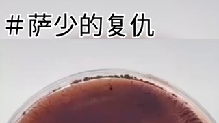 【虚拟小萨】＃萨少的复仇