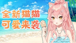 【Hiiro】全新猫猫 可爱来袭！