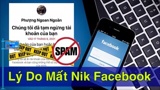 Giải Thích Lý Do Hàng Loạt Tài Khoản FACEBOOK Bị "BAY MÀU" Ngay Trong Đêm?