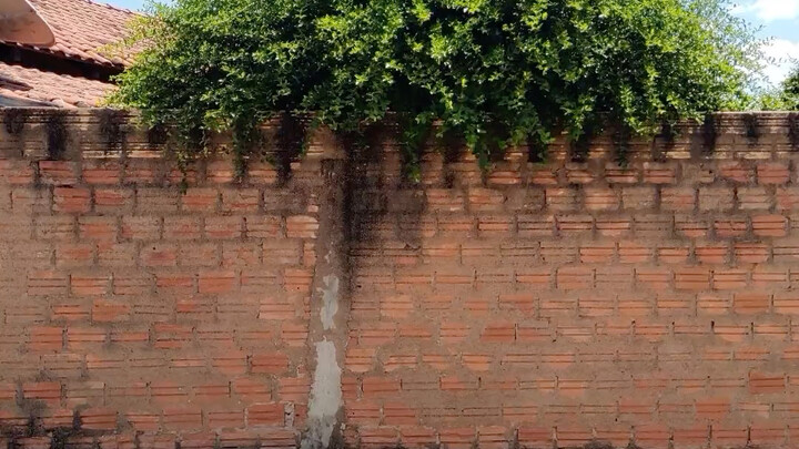 Let’s Hit the Streets of Brazil to Appreciate Street Artists’ Graffiti Art!