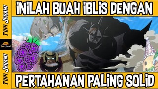 SULIT DIKALAHKAN ! INILAH BEBERAPA BUAH IBLIS DENGAN PERTAHANAN PALING SOLID DI ONE PIECE !