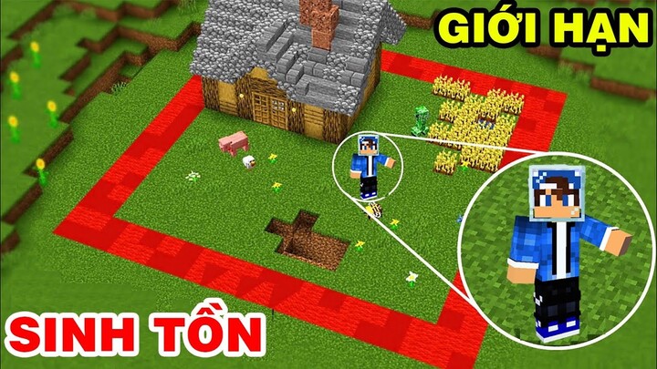 Sinh Tồn Nhưng Trái Đất Bị Giới Hạn (TRONG MINECRAFT)