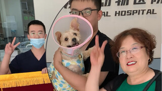 做个绝育都能收到锦旗，阿姨也太客气了