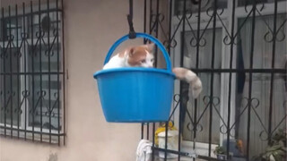 The human-operated elevator home!!!