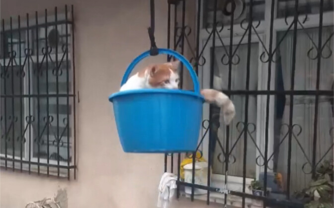 The human-operated elevator home!!!