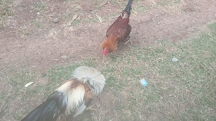 sayaw lang to mga ka idol kasi malapit na exam nila