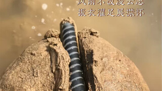 河边磨针第2275天巳时