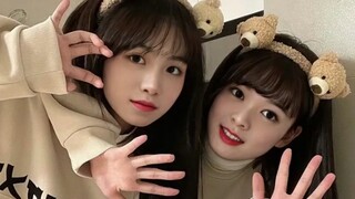 (NINE PERCENT‖Gender Swap Duo) So beautiful!