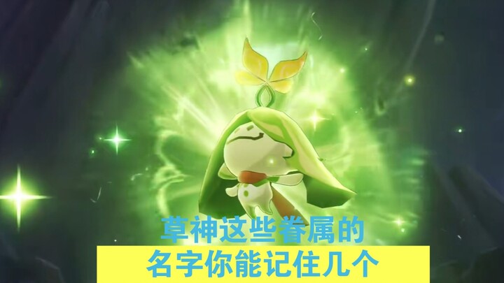 Thần Cỏ nhỏ có bao nhiêu thuộc hạ Lan’narô?