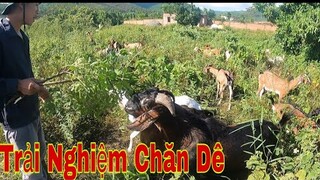 Team Săn Bắt Ẩm Thực Vùng Cao Trải Nghiệm Chăn Dê Của ToànQN