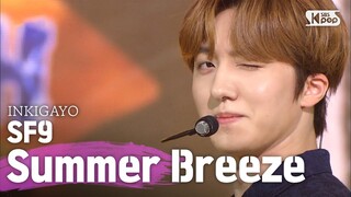 SF9(에스에프나인) - Summer Breeze(여름 향기가 날 춤추게 해) @인기가요 inkigayo 20200719