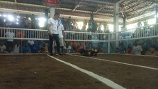 Pilay na pero solid namn ung bawi