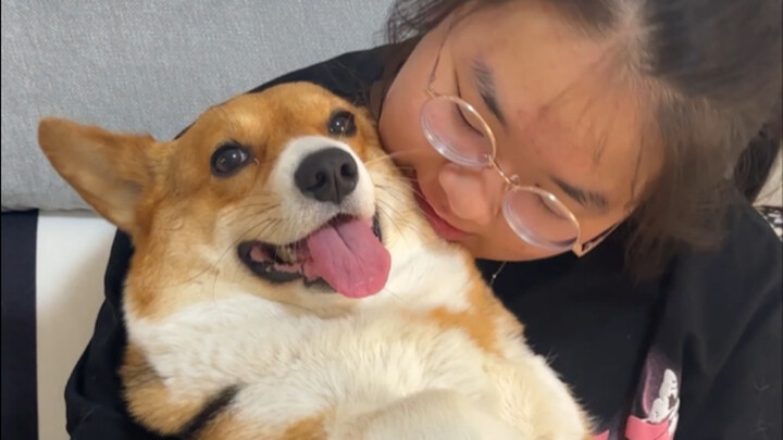 วันหยุดสองวัน หมาบ้านฉันถูกคนลูบไป 30 ชั่วโมง…