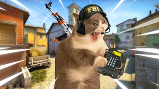 QUAY LẠI CS:GO SAU 1 NĂM