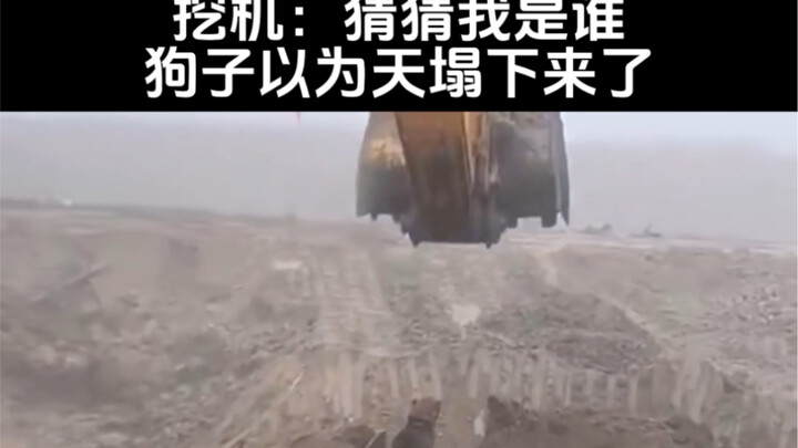 รถขุด: ทายสิว่าฉันคือใคร?