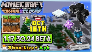 🔥CARA UPDATE! MCPE VERSI 1.17.30.24 - HUGE CHUNK & WITHER + MORE BUG FIXED!